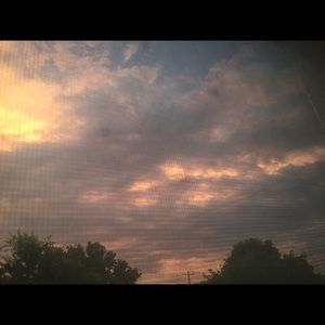 Meet your Posher, Priscilla